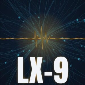 LX-9: Die Zukunft, wie sie sein könnte / The Future As It Could Be